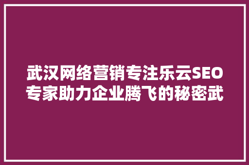 武汉网络营销专注乐云SEO专家助力企业腾飞的秘密武器