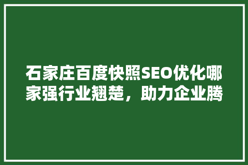 石家庄百度快照SEO优化哪家强行业翘楚，助力企业腾飞