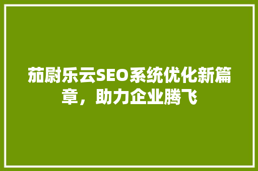 茄尉乐云SEO系统优化新篇章，助力企业腾飞