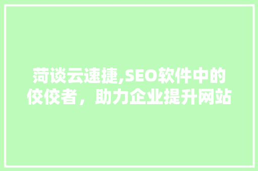 菏谈云速捷,SEO软件中的佼佼者，助力企业提升网站排名