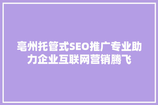亳州托管式SEO推广专业助力企业互联网营销腾飞