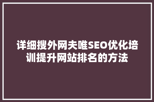 详细搜外网夫唯SEO优化培训提升网站排名的方法