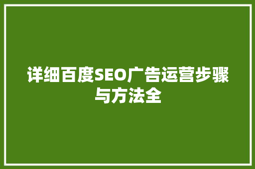 详细百度SEO广告运营步骤与方法全
