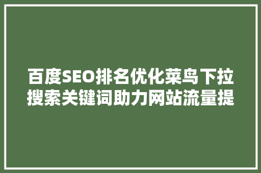 百度SEO排名优化菜鸟下拉搜索关键词助力网站流量提升