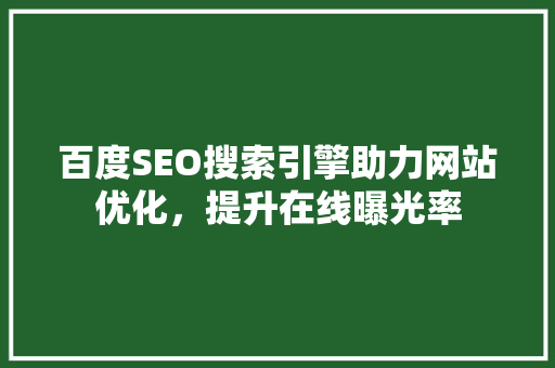 百度SEO搜索引擎助力网站优化，提升在线曝光率