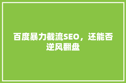 百度暴力截流SEO，还能否逆风翻盘