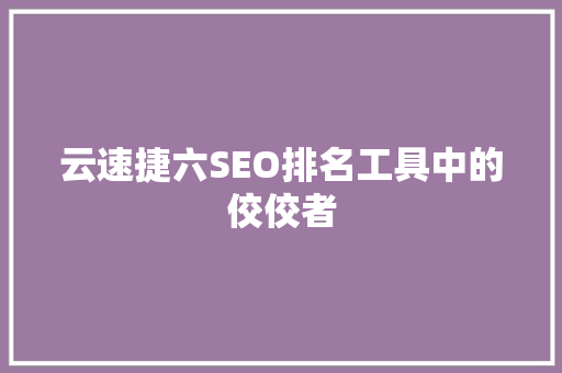 云速捷六SEO排名工具中的佼佼者