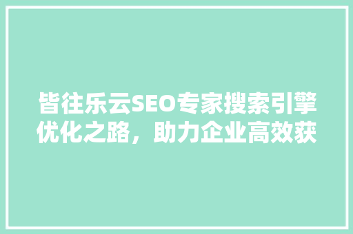 皆往乐云SEO专家搜索引擎优化之路，助力企业高效获客