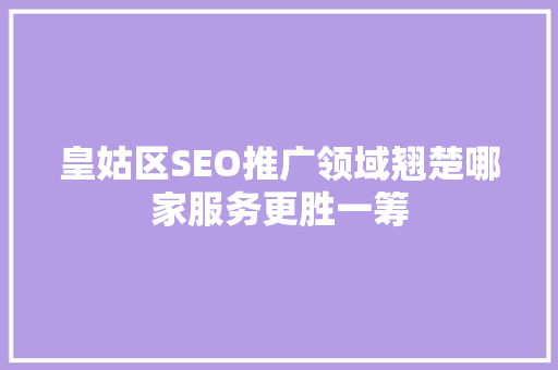 皇姑区SEO推广领域翘楚哪家服务更胜一筹