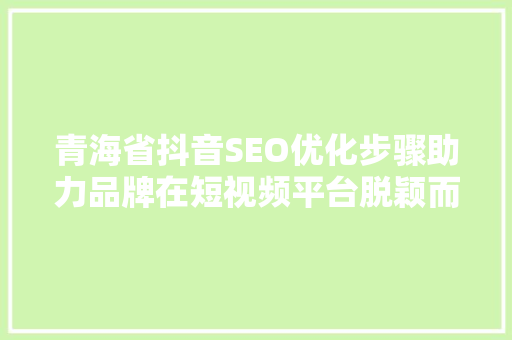 青海省抖音SEO优化步骤助力品牌在短视频平台脱颖而出