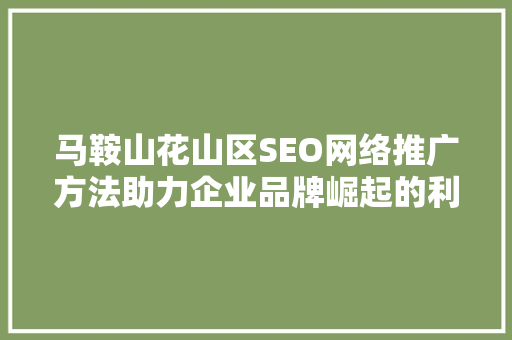 马鞍山花山区SEO网络推广方法助力企业品牌崛起的利器