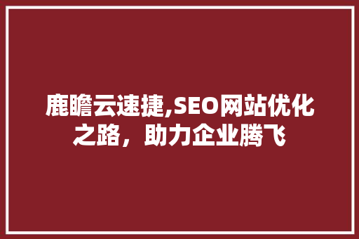 鹿瞻云速捷,SEO网站优化之路，助力企业腾飞