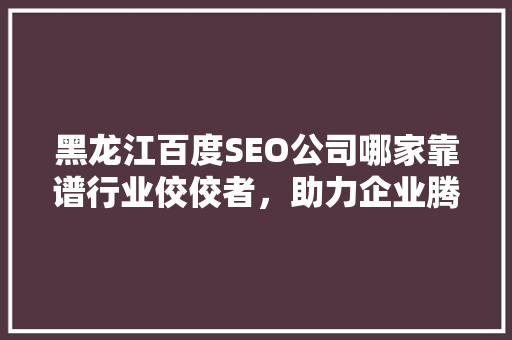 黑龙江百度SEO公司哪家靠谱行业佼佼者，助力企业腾飞