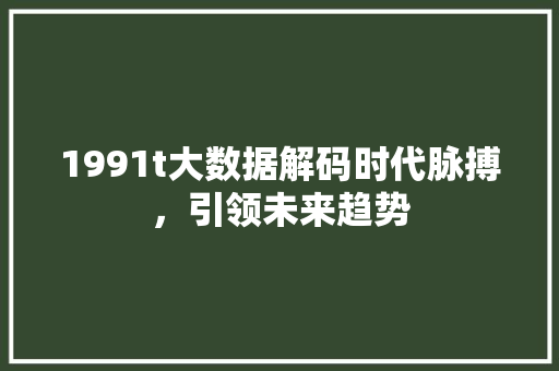 1991t大数据解码时代脉搏，引领未来趋势