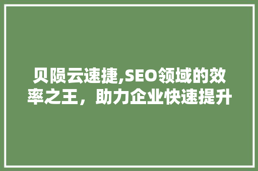 贝陨云速捷,SEO领域的效率之王，助力企业快速提升网站排名