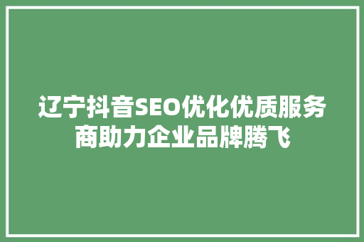 辽宁抖音SEO优化优质服务商助力企业品牌腾飞