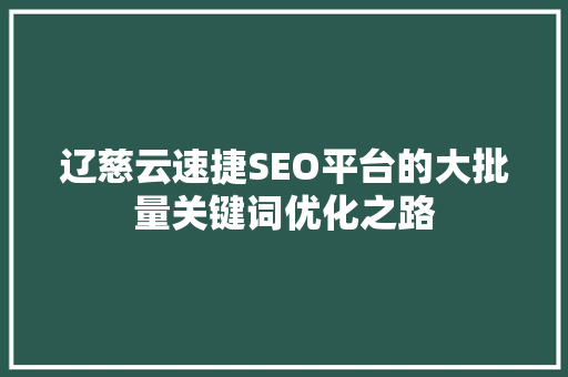 辽慈云速捷SEO平台的大批量关键词优化之路