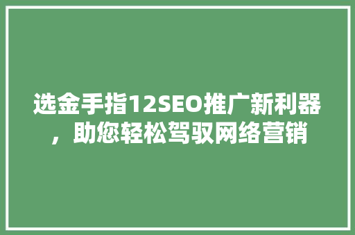 选金手指12SEO推广新利器，助您轻松驾驭网络营销