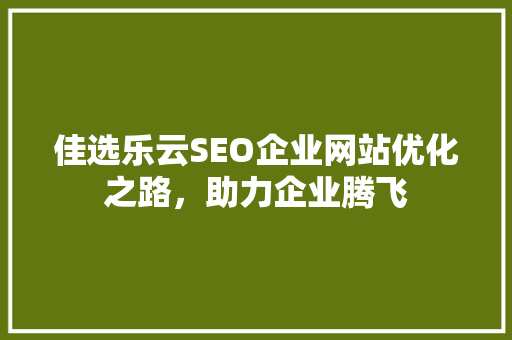 佳选乐云SEO企业网站优化之路，助力企业腾飞