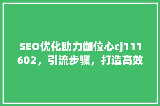 SEO优化助力伽位心cj111602，引流步骤，打造高效线上品牌