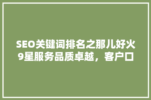 SEO关键词排名之那儿好火9星服务品质卓越，客户口碑爆棚