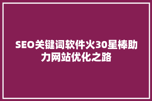 SEO关键词软件火30星棒助力网站优化之路