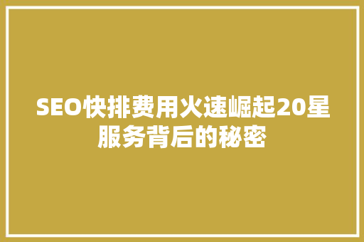 SEO快排费用火速崛起20星服务背后的秘密