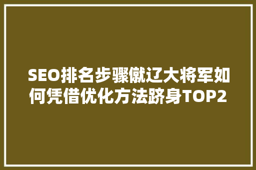 SEO排名步骤僦辽大将军如何凭借优化方法跻身TOP23