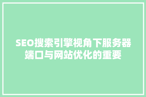 SEO搜索引擎视角下服务器端口与网站优化的重要