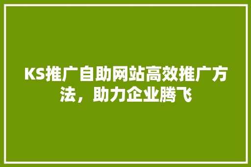 KS推广自助网站高效推广方法，助力企业腾飞