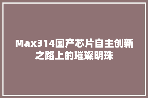Max314国产芯片自主创新之路上的璀璨明珠