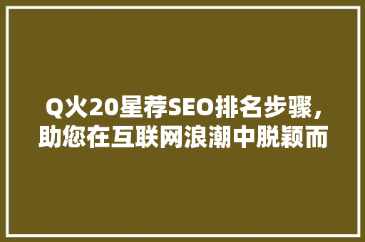 Q火20星荐SEO排名步骤，助您在互联网浪潮中脱颖而出