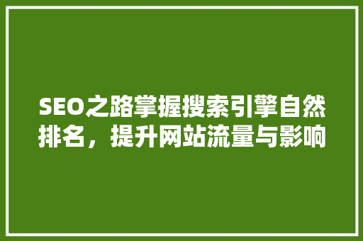 SEO之路掌握搜索引擎自然排名，提升网站流量与影响力