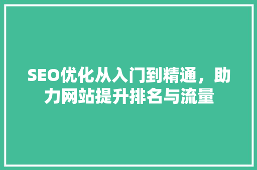 SEO优化从入门到精通，助力网站提升排名与流量