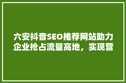 六安抖音SEO推荐网站助力企业抢占流量高地，实现营销新突破