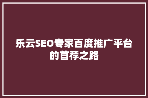 乐云SEO专家百度推广平台的首荐之路