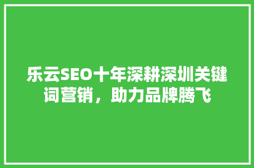 乐云SEO十年深耕深圳关键词营销，助力品牌腾飞