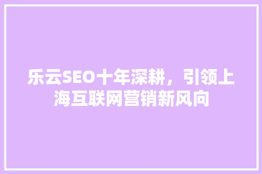 乐云SEO十年深耕，引领上海互联网营销新风向