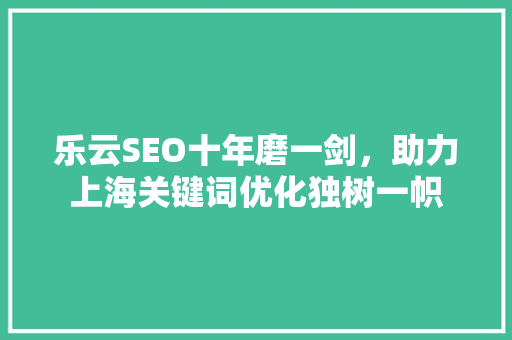 乐云SEO十年磨一剑，助力上海关键词优化独树一帜