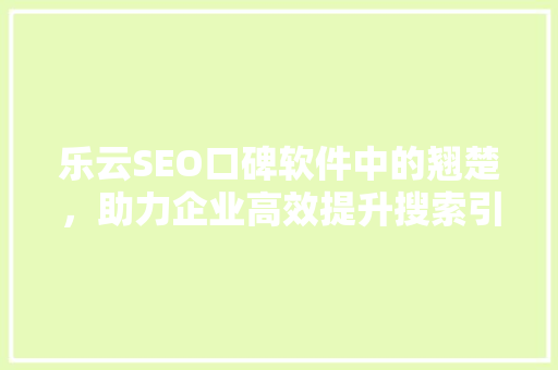 乐云SEO口碑软件中的翘楚，助力企业高效提升搜索引擎排名