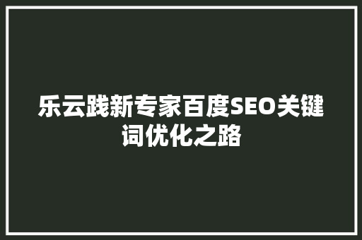乐云践新专家百度SEO关键词优化之路