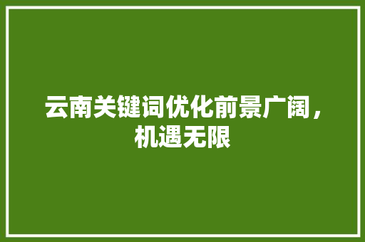 云南关键词优化前景广阔，机遇无限