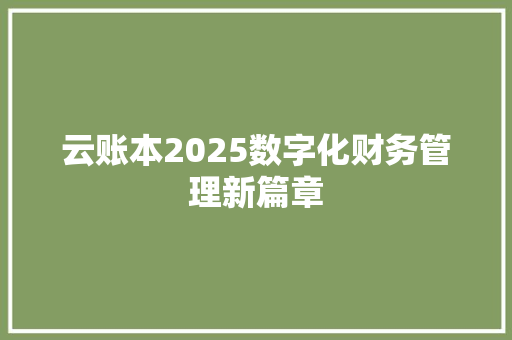 云账本2025数字化财务管理新篇章