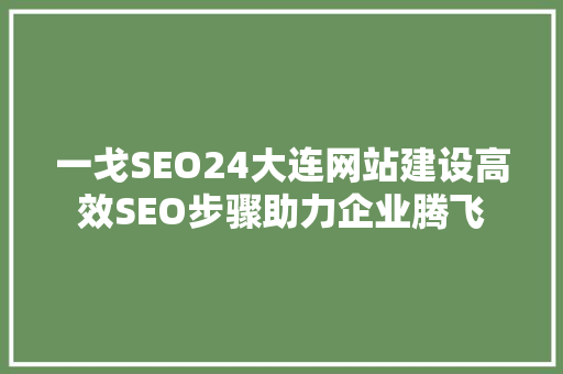 一戈SEO24大连网站建设高效SEO步骤助力企业腾飞