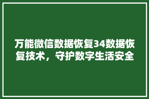 万能微信数据恢复34数据恢复技术，守护数字生活安全