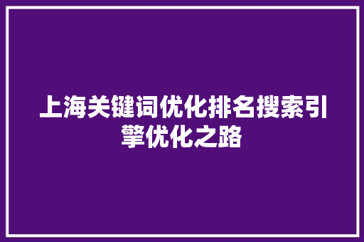 上海关键词优化排名搜索引擎优化之路