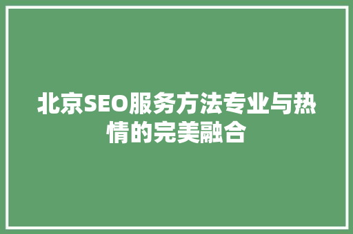 北京SEO服务方法专业与热情的完美融合