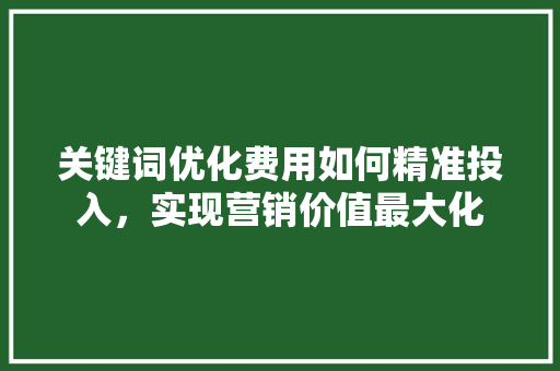 关键词优化费用如何精准投入，实现营销价值最大化