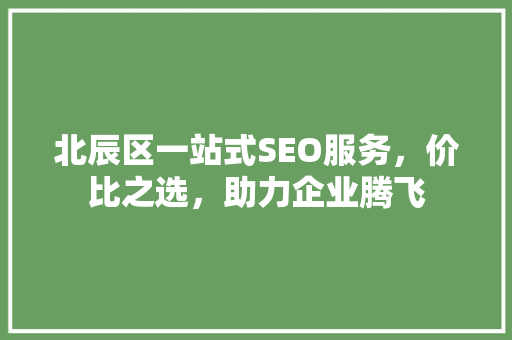 北辰区一站式SEO服务，价比之选，助力企业腾飞