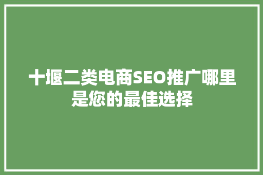 十堰二类电商SEO推广哪里是您的最佳选择